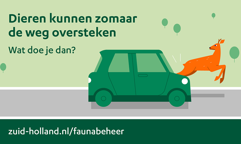 Op­let­ten en snel­heid aan­pas­sen voor over­ste­kend wild