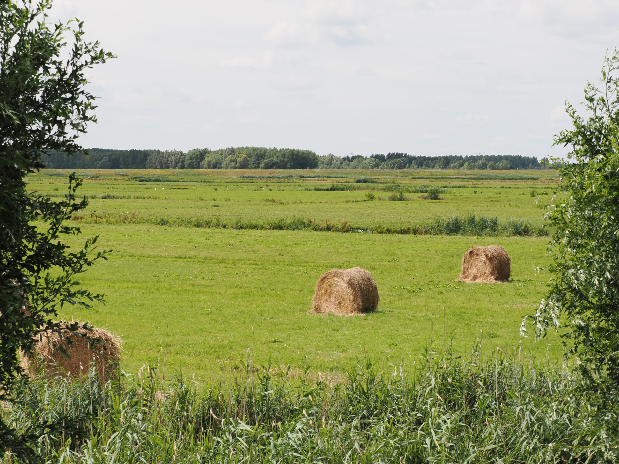Excursie natuur en cultuurhistorie Polder Groot Koninkrijk op zaterdag 18 oktober