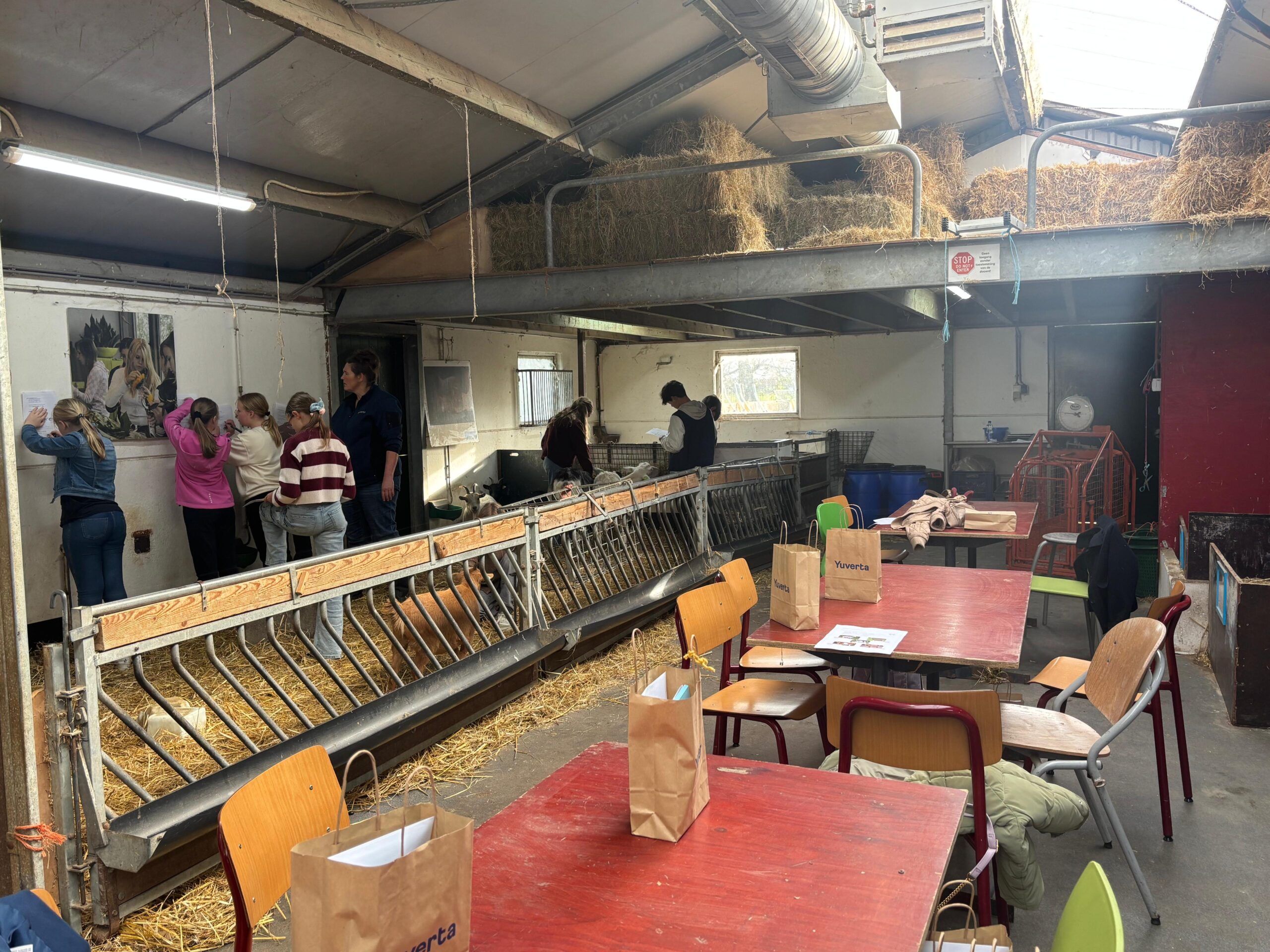 Groep 8-leerlingen ontdekken Yuverta VMBO Klaaswaal tijdens bruisende Doe Dag