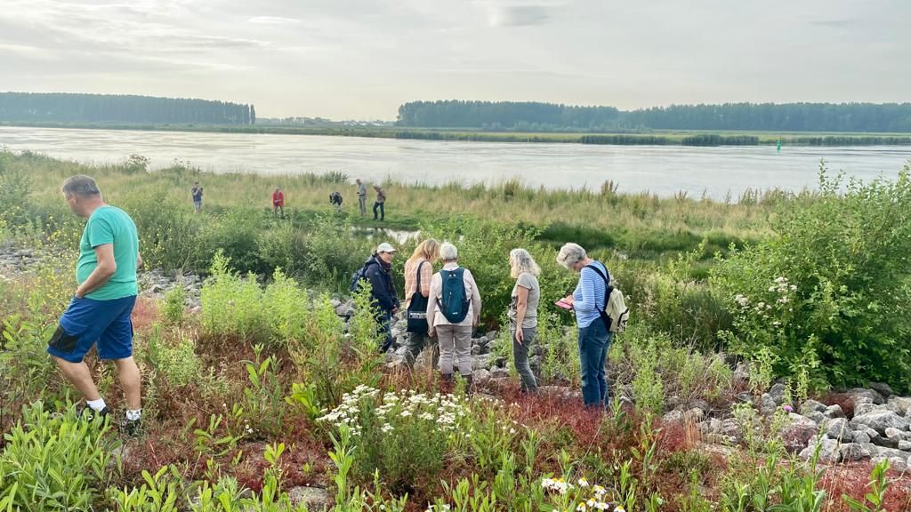 Eindejaars Plantenjacht in Zuid-Beijerland