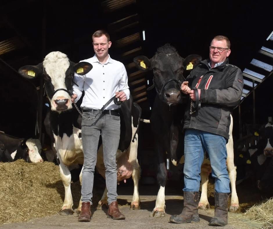Twee kampioenskoeien tegelijk bij Boerderijwinkel Zevenbergen in Piershil