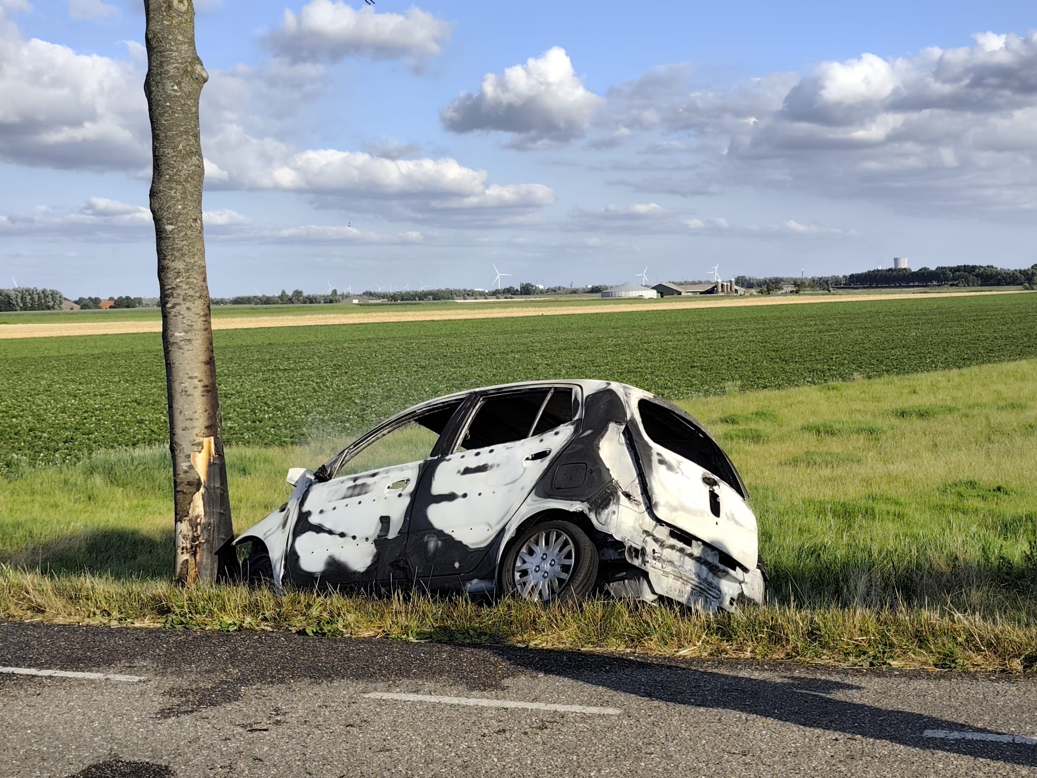 Auto botst tegen boom op Weelsedijk in Strijen; één persoon ernstig gewond