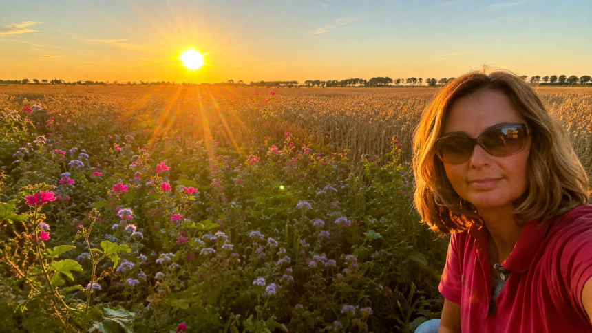 De Hoeksche Boerin bij een bloemenrand tijdens zonsondergang op het akkerland in de Hoeksche Waard.