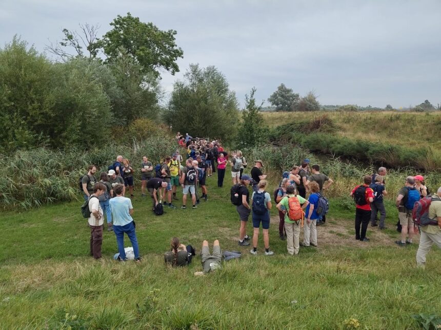Deelnemers 35e Oeverloop wandelen door Hoeksche Waard