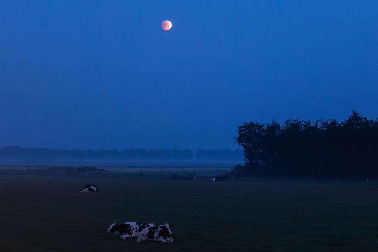 Bijzondere maansverduistering boven Maasdam prachtig vastgelegd